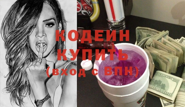 хмурый Магас