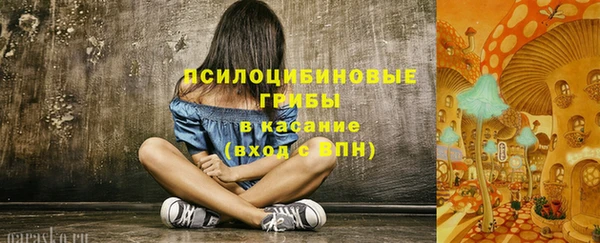 СК Покровск
