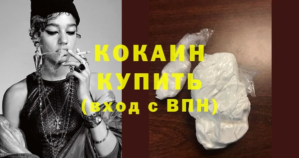 СК Новозыбков