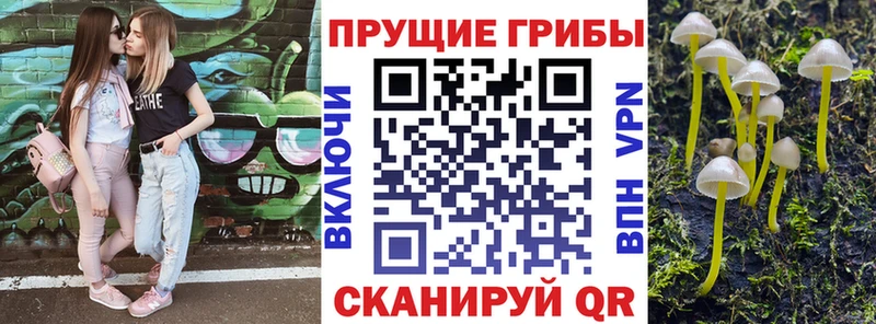 блэк спрут ссылка  Слободской  Псилоцибиновые грибы Psilocybine cubensis 